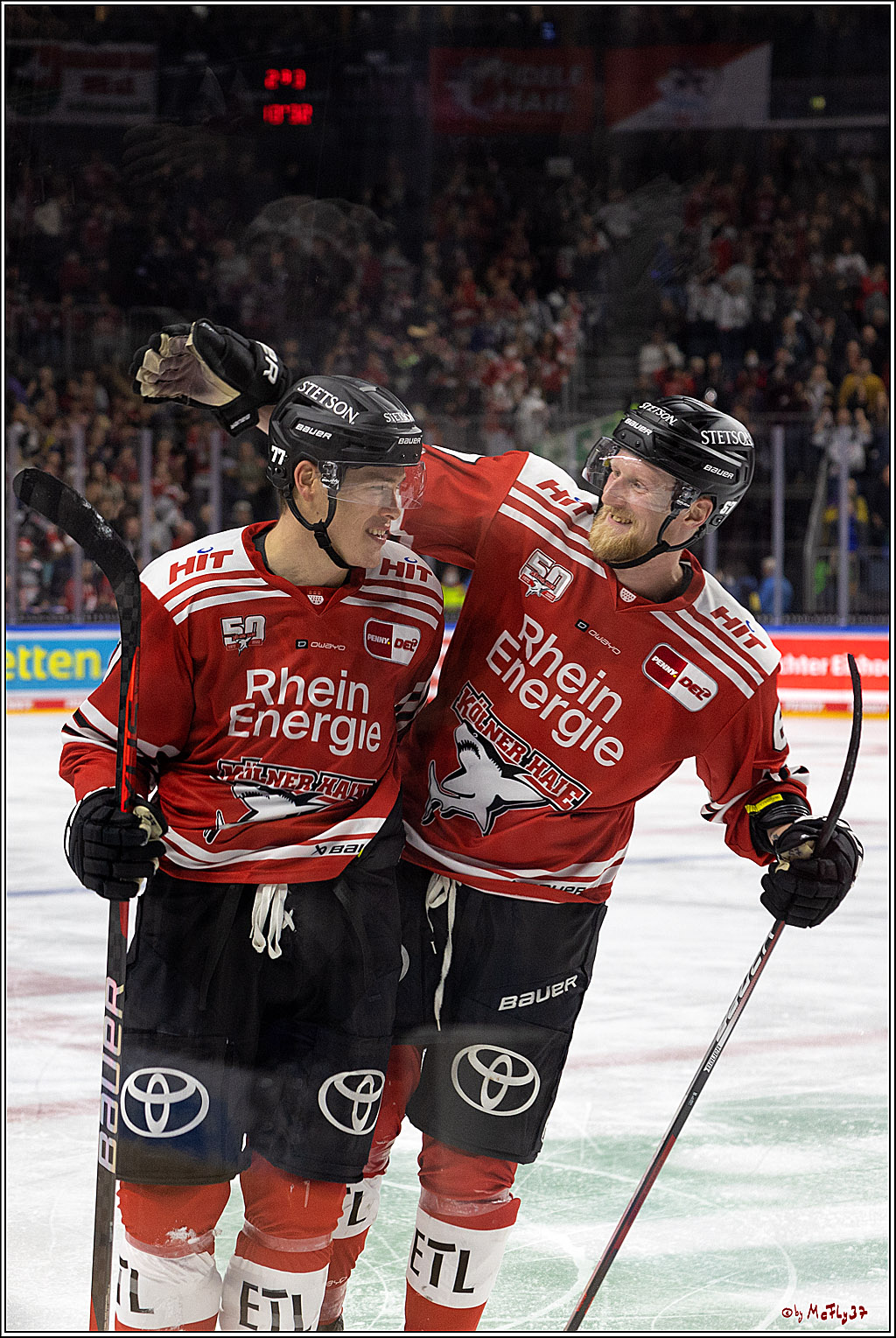 PENNY DEL;  Kölner Haie - Nuernberger Ice Tigers; Köln, 18.11.2022